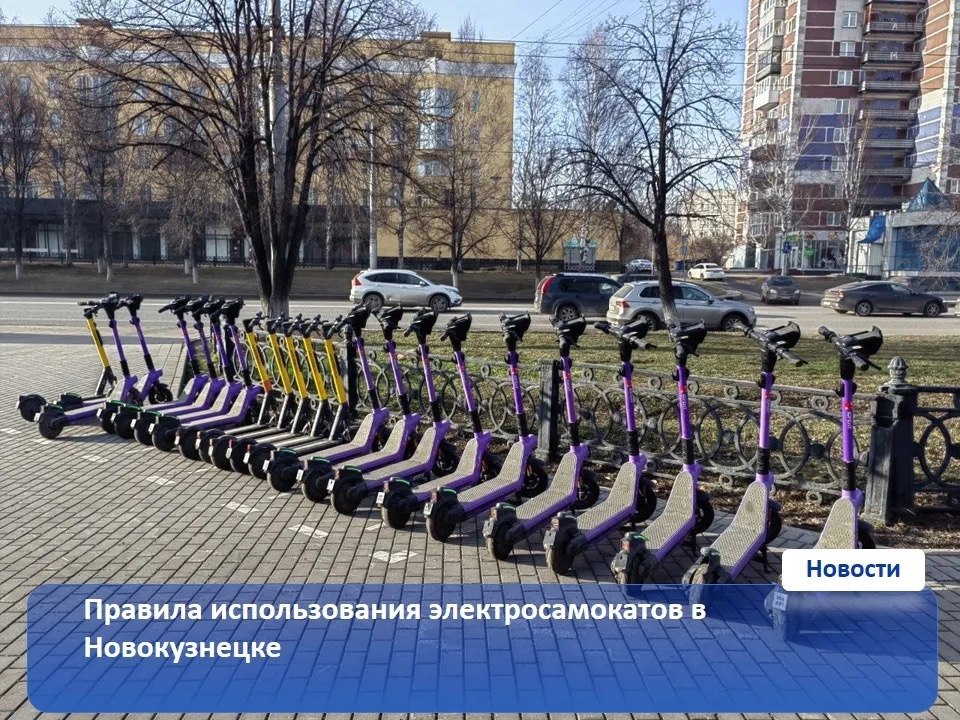 самокаты.jpg